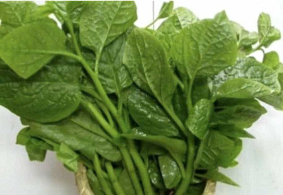 Mồng tơi 1 kg
